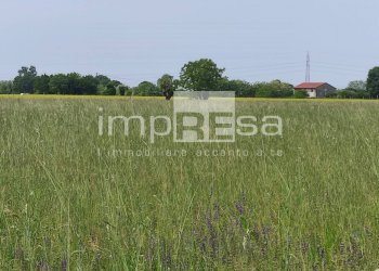 Foto 2 - Agricultural land via Sovernigo, Paese - photo 2