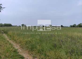 Foto 4 - Agricultural land via Sovernigo, Paese - photo 4