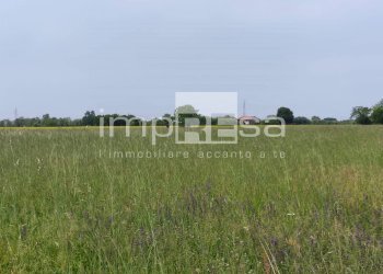 Foto 5 - Agricultural land via Sovernigo, Paese - photo 5