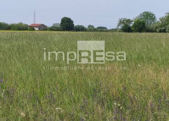 Foto 6 - Agricultural land via Sovernigo, Paese - photo 6