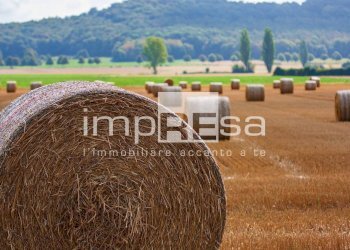 Foto 6 - Agricultural land via mattielli, Preganziol - photo 6