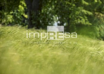 Foto 8 - Agricultural land via mattielli, Preganziol - photo 8