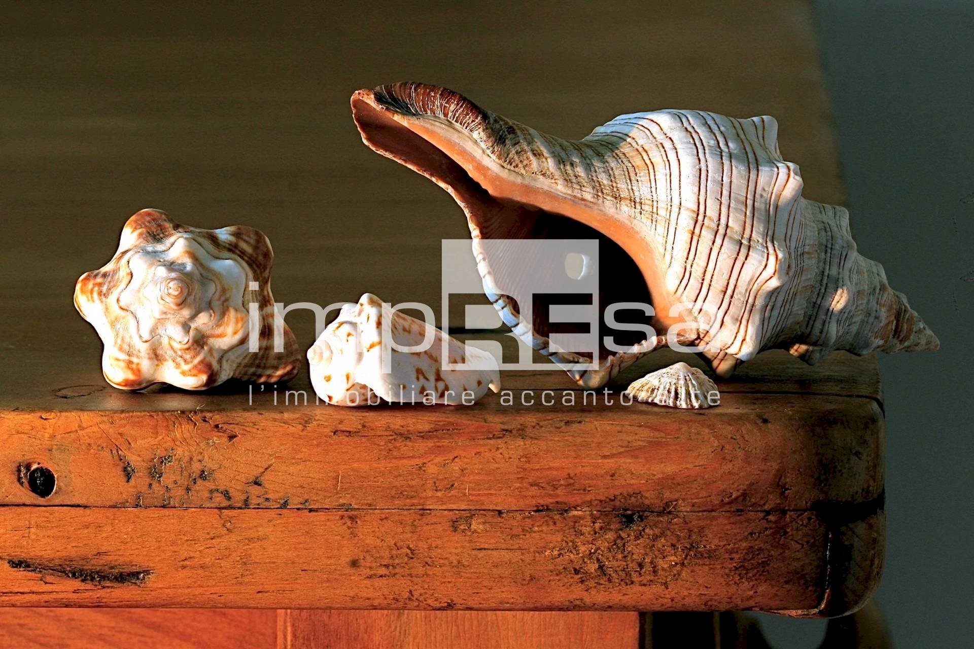 Foto 3 - Quadrilocale istrana TV, Istrana - foto 3