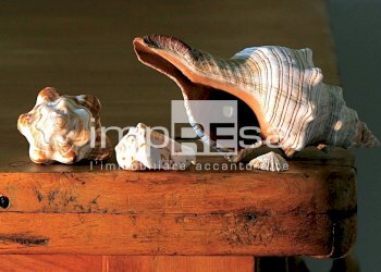 Foto 3 - Quadrilocale istrana TV, Istrana - foto 3