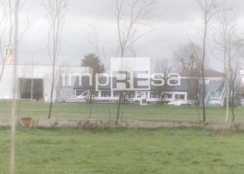 Foto 7 - Agricultural land via nazionale paese, Paese - photo 7