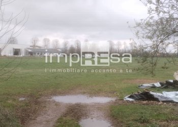 Foto 7 - Agricultural land via nazionale paese, Paese - photo 7