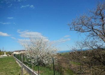 Foto 41 - Villa Cupra Marittima - foto 41