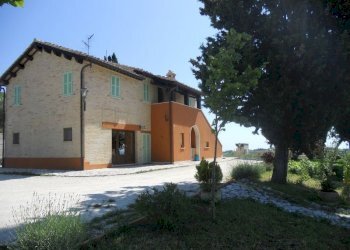 Foto 8 - Rustic offida, Offida - photo 8