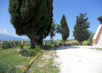 Foto 9 - Rustic offida, Offida - photo 9