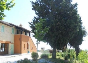 Foto 11 - Rustic offida, Offida - photo 11