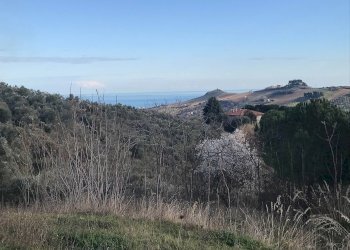 Foto 4 - Rustic Monteprandone - photo 4