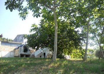 Foto 7 - Rustic Monteprandone - photo 7