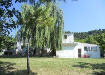 Foto 9 - Rustic Monteprandone - photo 9