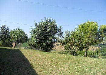 Foto 13 - Rustic Monteprandone - photo 13