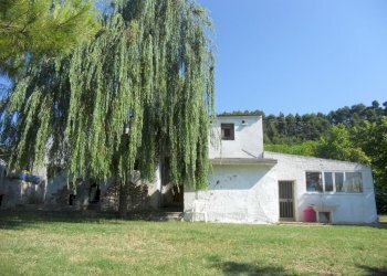 Foto 16 - Rustic Monteprandone - photo 16