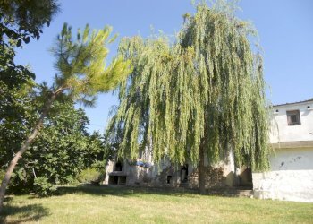 Foto 17 - Rustic Monteprandone - photo 17