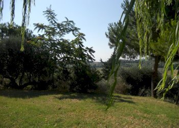 Foto 18 - Rustic Monteprandone - photo 18