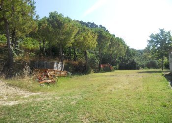 Foto 19 - Rustic Monteprandone - photo 19