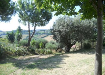 Foto 21 - Rustic Monteprandone - photo 21