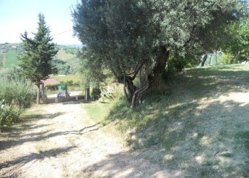 Foto 22 - Rustic Monteprandone - photo 22