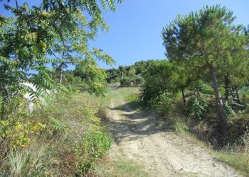 Foto 23 - Rustic Monteprandone - photo 23