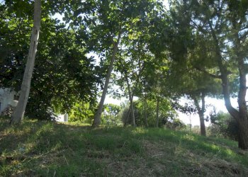 Foto 24 - Rustic Monteprandone - photo 24