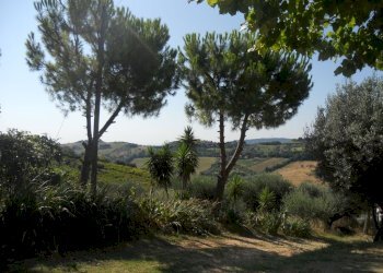 Foto 25 - Rustic Monteprandone - photo 25