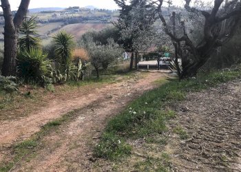 Foto 26 - Rustic Monteprandone - photo 26