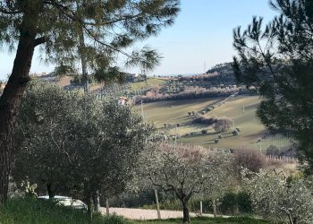 Foto 27 - Rustic Monteprandone - photo 27