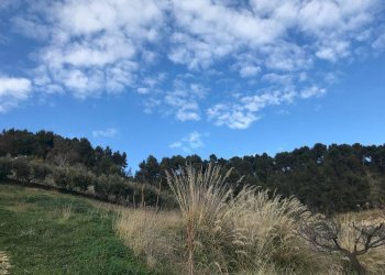 Foto 29 - Rustic Monteprandone - photo 29