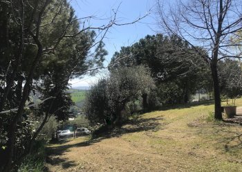 Foto 37 - Rustic Monteprandone - photo 37