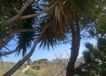 Foto 38 - Rustic Monteprandone - photo 38