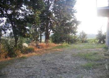 Foto 5 - Rustico contrada Lava, Offida - foto 5