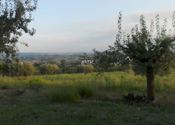 Foto 14 - Rustico contrada Lava, Offida - foto 14