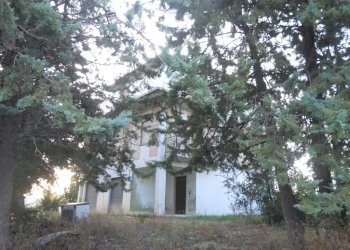 Foto 15 - Rustico contrada Lava, Offida - foto 15