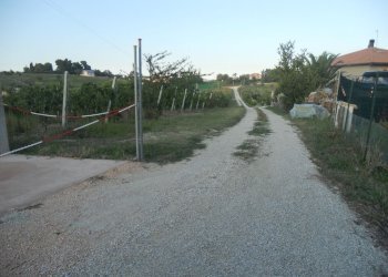 Foto 16 - Rustico contrada Lava, Offida - foto 16