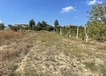 Foto 20 - Rustico contrada Lava, Offida - foto 20