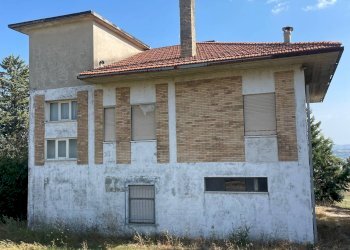 Foto 21 - Rustico contrada Lava, Offida - foto 21