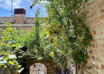 Foto 17 - Three-room apartment Ripatransone - photo 17