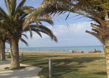 Foto 20 - Villa Grottammare - foto 19