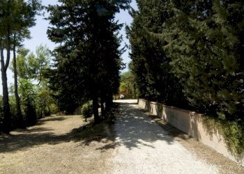 Foto 3 - Rustic Cossignano - photo 3