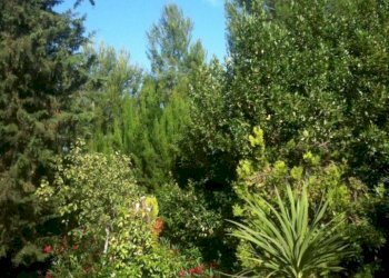 Foto 9 - Rustic Cossignano - photo 9