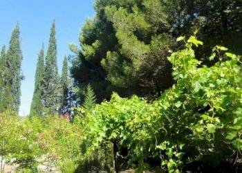 Foto 11 - Rustic Cossignano - photo 11