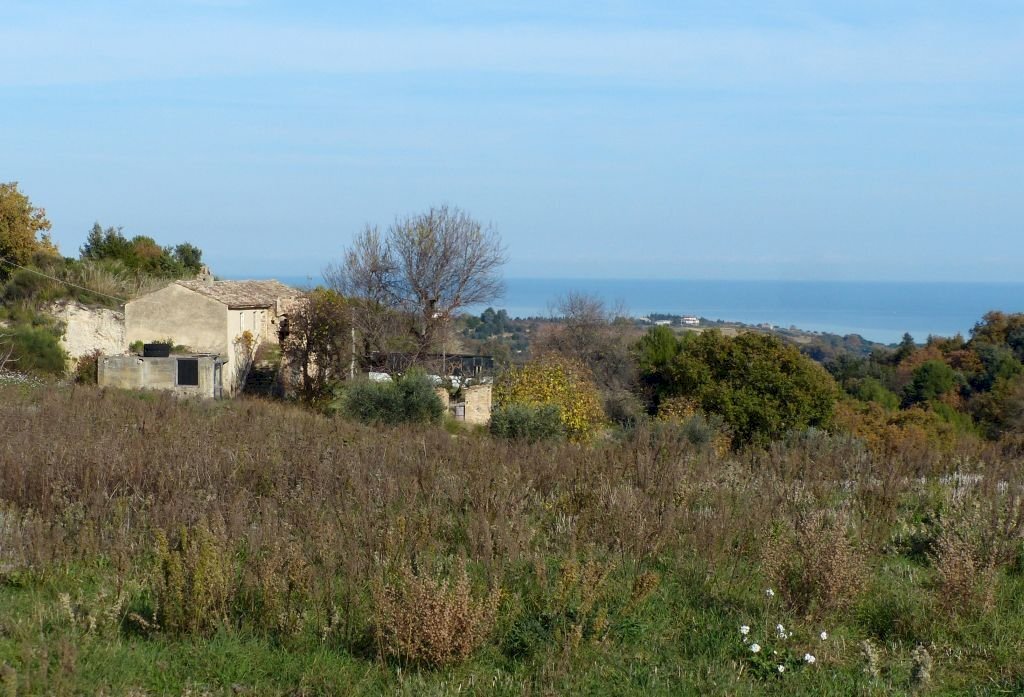 Foto 3 - Agriturismo Cupra Marittima - foto 3