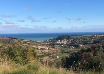 Foto 2 - Agriturismo Cupra Marittima - foto 2