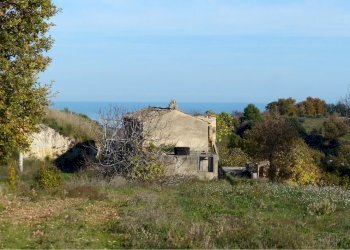 Foto 4 - Agriturismo Cupra Marittima - foto 4