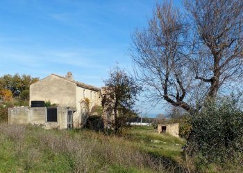 Foto 6 - Agriturismo Cupra Marittima - foto 6