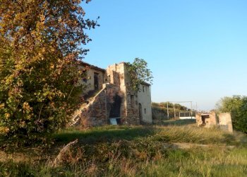 Foto 8 - Agriturismo Cupra Marittima - foto 8