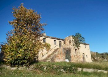 Foto 11 - Agriturismo Cupra Marittima - foto 11