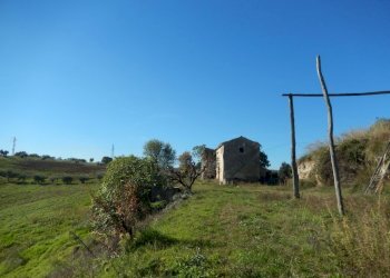 Foto 13 - Agriturismo Cupra Marittima - foto 13